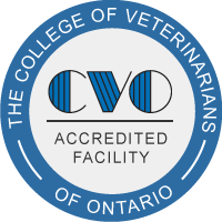 CVO Logo